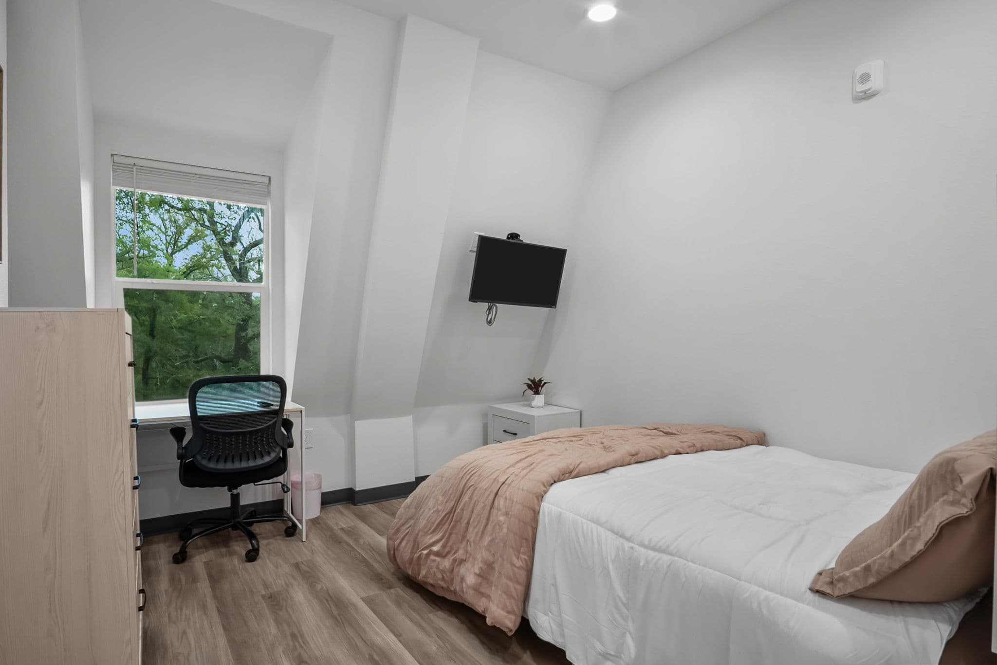 Private bedroom with desk and television